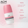 Brown bear - Vector graphics